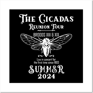 Cicada Shirt 2024 Cicada Emergence Posters and Art